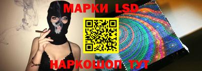 стаф Новозыбков