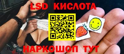 прущие грибы Новокубанск