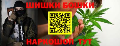 стаф Новозыбков
