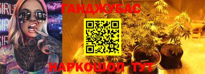 стаф Новозыбков