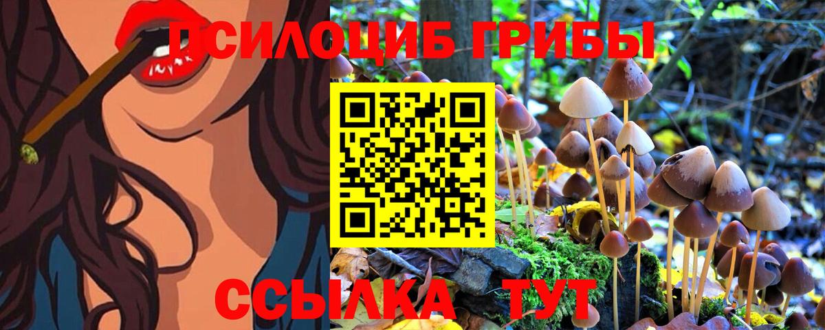 Галлюциногенные грибы Magic Shrooms  Вход с VPN  Сланцы  где продают   Галлюциногенные грибы мицелий 